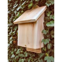 Chavenage Bat Box Wildlife World