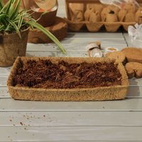 Pack of 2 Coir Trays 100% Biodegradable Coir Fibre Coir Products