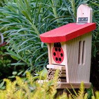 Ladybird & Insect Lodge - Bug Box Wildlife World