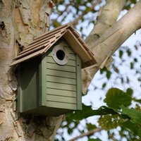 New England Bird Nest Box Wildlife World