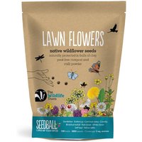 Seedball Lawn Flowers Mix Seed Balls | 100 Seedballs