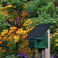 Water Butts Direct SOL-C36Q Solar Automatic Irrigation System Green Polypropylene