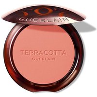 Guerlain Terracotta Blush | Precio, Comprar