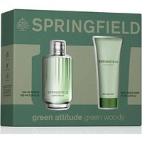 Springfield Green Attitude Estuche | Precio, Comprar