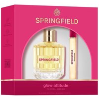 Springfield Glow Attitude Estuche | Precio, Estuche