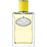 Prada Infusion D'Ylang | Precio, Comprar