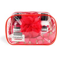 IDC INSTITUTE Organic Red Fruit Mini Bag Estuche | Precio, Estuche
