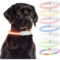 Collar LED para Perros – PAJ LIGHT. Visibilidad hasta 10 horas, ajustable e Impermeable. Color blanco