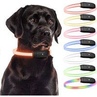 Collar LED para Perros – PAJ LIGHT. Visibilidad hasta 10 horas, ajustable e Impermeable. Color negro