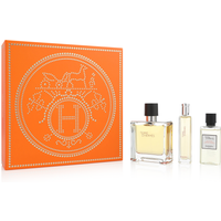 Hermes Terre d’Hermès Pure Perfume 75ml Spray Gift Set