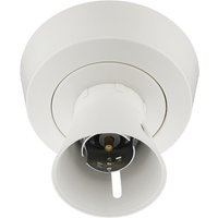 2 Term B 3 Term + Ear Base Pvc T Ho S 763-01