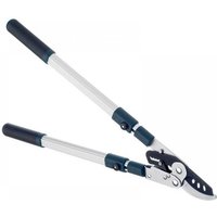 Bulldog BD3113TW Bd3113Tw Evergreen Extending Bypass Loppers