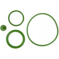 Faithfull Viton® Seals Pack For Faispray16Hd