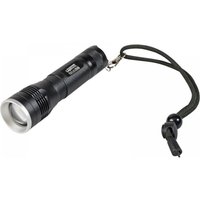 Lighthouse Elite Focus350 Led Torch 350 Lumens - 3 X Aaa