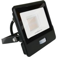 Link2Home L2H-20WFLDPIR Smart Pir Floodlight
