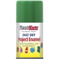 Plastikote 001040 Fast Dry Enamel Aerosol Garden Green 100Ml