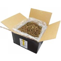 Reisser 9200S22045045B R2 Screws Csk Pzd Ft Yellow 4.5 X 45 Bulk Box Qty 4000