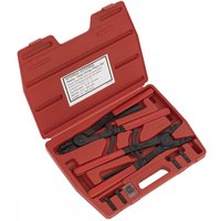 Sealey Heavy Duty Circlip Plier and Interchangeable Tip Set