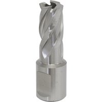 Sealey Rotabor Weldon Shank HSS Mag Drill Cutter