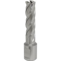 Sealey Rotabor Weldon Shank HSS Mag Drill Cutter