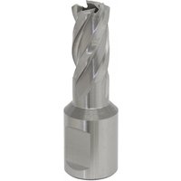 Sealey Rotabor Weldon Shank HSS Mag Drill Cutter