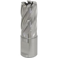 Sealey Rotabor Weldon Shank HSS Mag Drill Cutter