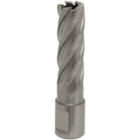 Sealey Rotabor Weldon Shank HSS Mag Drill Cutter