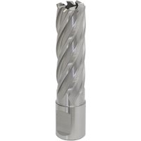 Sealey Rotabor Weldon Shank HSS Mag Drill Cutter