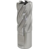 Sealey Rotabor Weldon Shank HSS Mag Drill Cutter