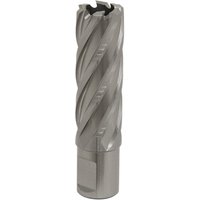 Sealey Rotabor Weldon Shank HSS Mag Drill Cutter