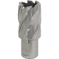 Sealey Rotabor Weldon Shank HSS Mag Drill Cutter