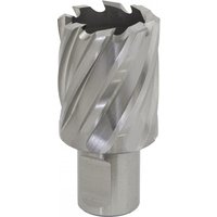 Sealey Rotabor Weldon Shank HSS Mag Drill Cutter