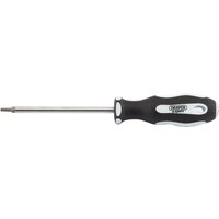 Draper Expert Torx Screwdriver