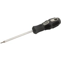 Draper Expert Torx Screwdriver