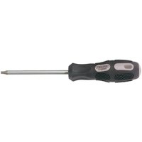 Draper Expert Torx Screwdriver