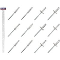 Sealey RVSET Clip Strip Deal - Aluminium Rivets
