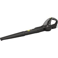 Sealey Sv10.8 Series Cordless Leaf Blower 10.8V - Body Only