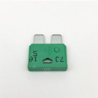 FUSE 30 AMP PAS14G