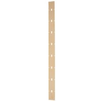 Front squeegee blade, curved, new style, PAS20DX
