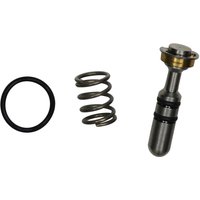 VALVE REPAIR KIT FOR PX21 O-RINGS STEM AND SPRINGS