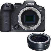 Canon EOS R7 Mirrorless Camera Body with EF-EOS R mount adapter