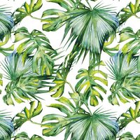 Acrylic Wall Panel - 896mm x 2400mm x 4mm Botanical