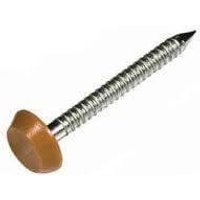 Plastic Headed Nails - 50mm Golden Oak - Box of 100