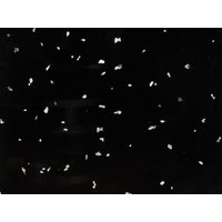 Bathroom Wall Panel - 1000mm x 2400mm x 10mm Black Sparkle