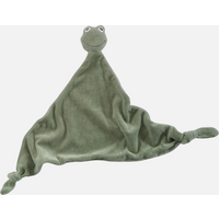 Frog Comforter