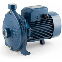 Pedrollo centrifugaalpomp, CPm 170, 230V