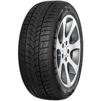 Winterreifen Minerva Frostrack UHP 225/45 R19 96V