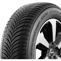 Ganzjahresreifen BFGoodrich Advantage All-Season 195/65 R15 91T Ganzjahresreifen BFGoodrich Advantage All-Season 195/65 R15 91T