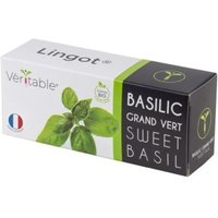 Véritable Lingot Süßes Basilikum - Bio