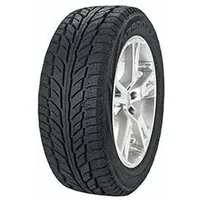 205/70 R15 96T Weathermaster WSC